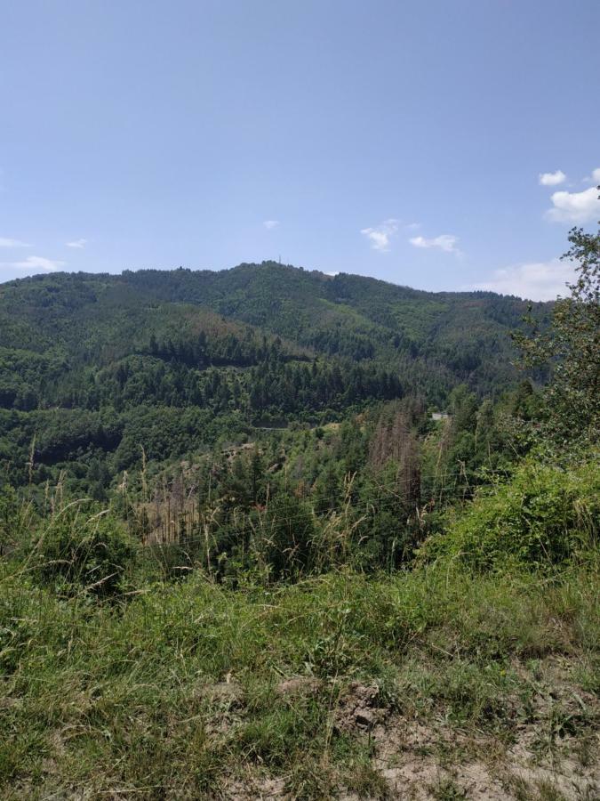 Вила Баните Екстериор снимка